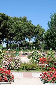 Madrid. La rosaleda del Parque del Oeste