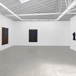 June Edmonds, Inheritance, exhibition view. Courtesy of Luis De Jesus Los Angeles