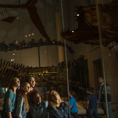 Cretaceous Seaway. Courtesy of Carnegie Museum of Natural History