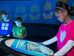 A Mirror Maze. Courtesy of The Franklin Institute