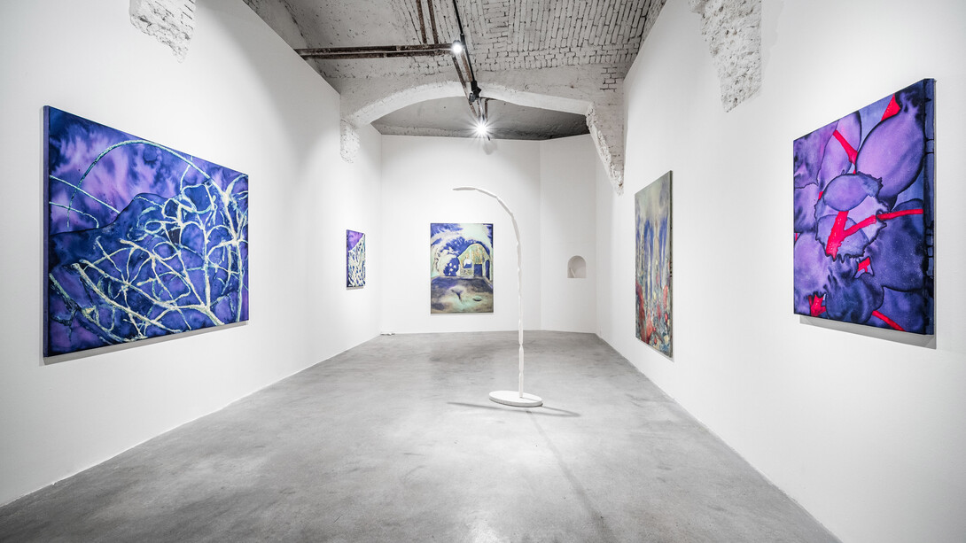 Tereza Tomanová, Vaulting, exhibition view. Courtesy of Karpuchina Gallery