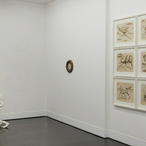 Museo di Storia Innaturale. Courtesy of Galleria Pack