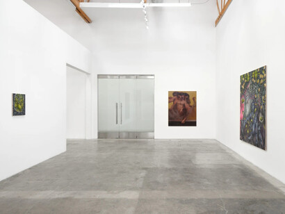 From the cloud by László von Dohnányi and Preslav Kostov, installation view of the exhibition at Baert Gallery. Courtesy of the artists and Baert Gallery. Photo by Paul Salveson