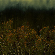 Mayme Kratz, Dark garden 14, 2024. Courtesy of Lisa Sette Gallery