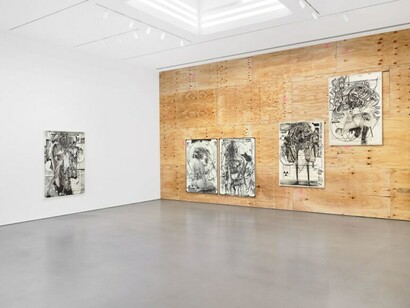 Hiroki Tsukuda, The days of humans, exhibition view. Courtesy of Petzel Gallery