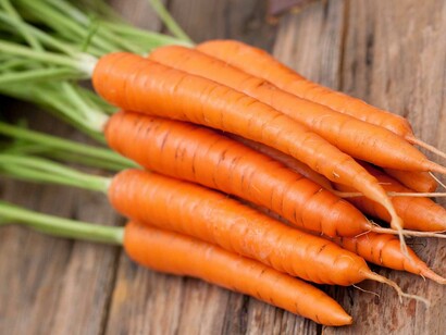 Carote fresche