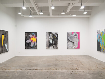 Joe Fleming, Installation view