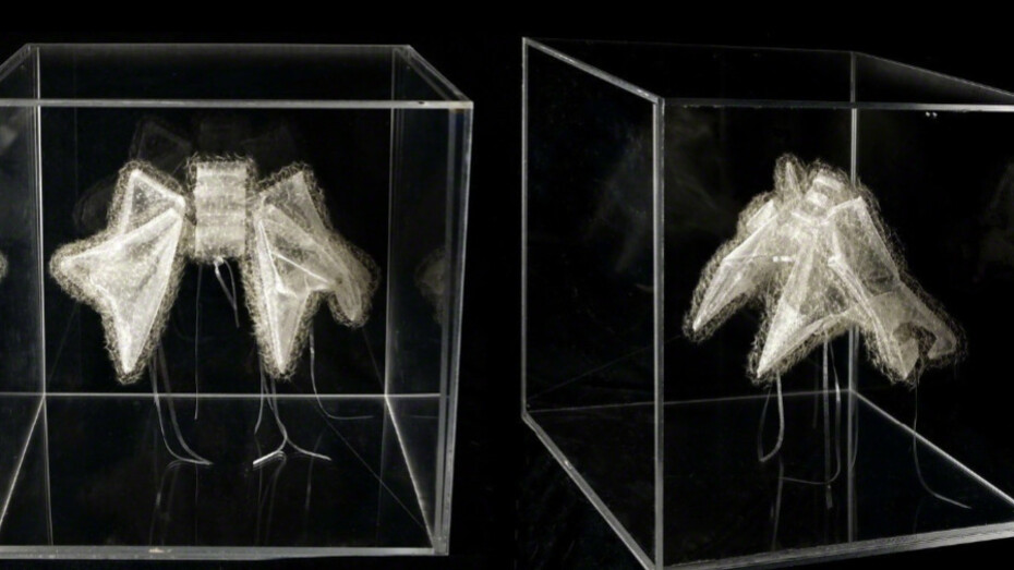 Isabel Consigliere. Courtesy of Luisa Catucci Gallery