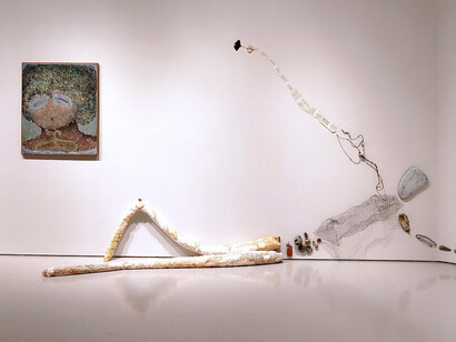 Marina Daiez, Ontogenia plantihumana, exhibition view. Courtesy of Nora Fisch Gallery