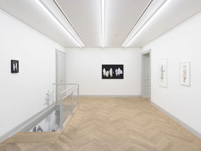 Ishita Chakraborty, I recall the forest inside me, exhibition view. Courtesy of Galerie Peter Kilchmann