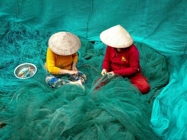 Na comunidade real, os indivíduos não esperam que a liberdade lhes seja concedida; eles a conquistam simultaneamente à sua associação, por meio e no interior de tal associação. Desde que a associação dos indivíduos se desenvolva no quadro de forças produtivas desenvolvidas, essa “reunião” é o que estabelece as condições para o livre desenvolvimento dos indivíduos