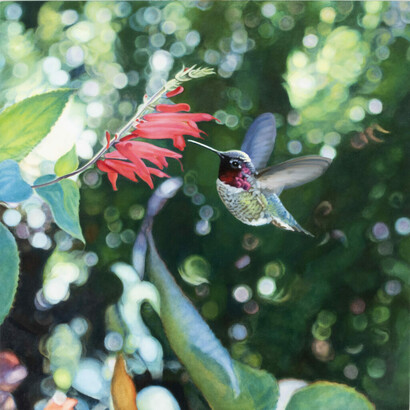 Diane Andrews Hall, Anna's Hummingbird and Delphinium, 2021. Oil on wood, 10 x 10 in. Courtesy of the artist and Rena Bransten Gallery