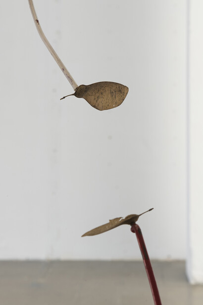 Alejandro Palacín. Courtesy of Nogueras Blanchard, Photography: Roberto Ruiz