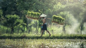 A villager in Vietnam uses the resources provided by nature in a sustainable method in the Anthropocene Epoque