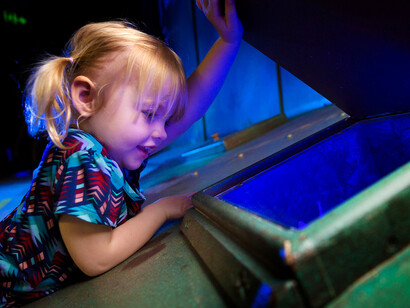 Your shipwreck adventure, exhibition view. Courtesy of Queensland Museum Tropics