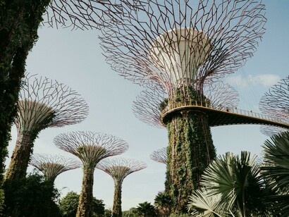 Gardens by the Bay: Singapore’s iconic supertress integrate greenery and technology 