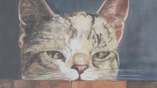 Martin Ireland,Peeping Tom, 2013