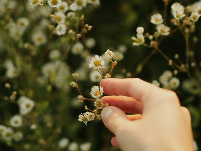 Pessoa aprecia pequenas flores delicadas. Onde você aterrissa, quando para de correr? O que floresce em você, quando você oferece espaço?