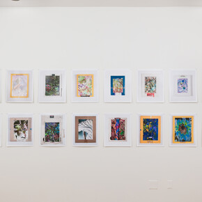 Exhibition View, Garden Pictures, Matthew Brandt and Christine Nguyen, 2023. Courtesy of the artist and David B. Smith Gallery