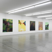 Phoebe Unwin “Field”
Veduta di mostra / Exhibition view Collezione Maramotti, 2018
Ph. Dario Lasagni
