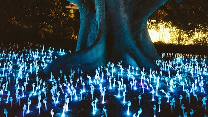 Natura, spirito, materia. Lo Spirito e la materia sono i due poli di una stessa sostanza, necessitano di un mezzo d’unione per lo scambio di energia. Gli Elementali sono i mezzi attraverso cui si esercitano tutti gli sforzi spirituali dell’uomo sulla Natura e nulla può essere fatto senza il loro intervento