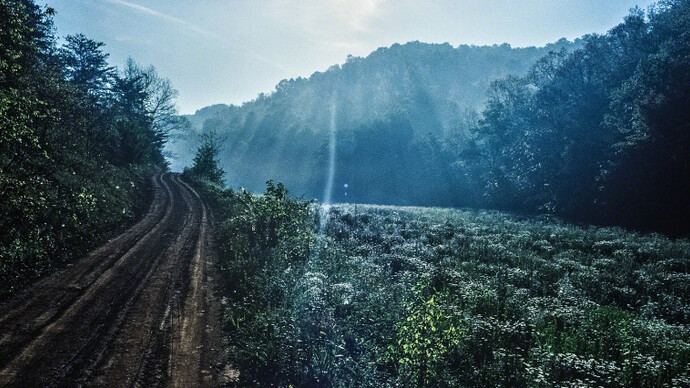 Back-To-The-Land. Courtesy of Soho Photo Gallery