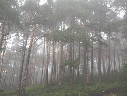 Un senso di ricchezza e di confidenza col creato 
