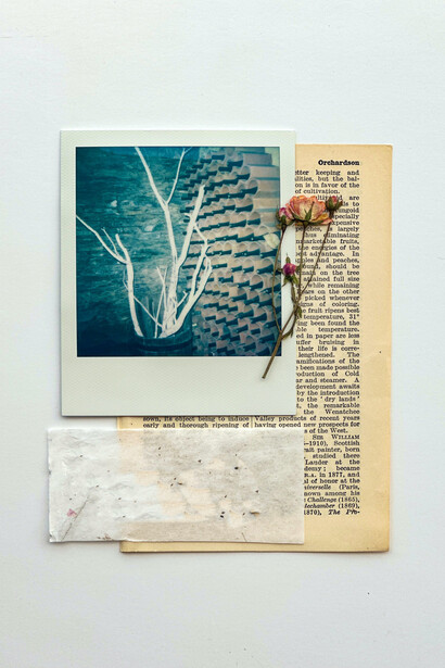 Desejos para alcançar objetivos