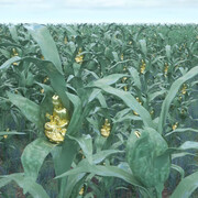 Li Hanwei, We define nutrition, 2018. Courtesy of Power Station of Art