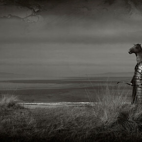 Story smuggler. Courtesy of Magda Danysz Gallery