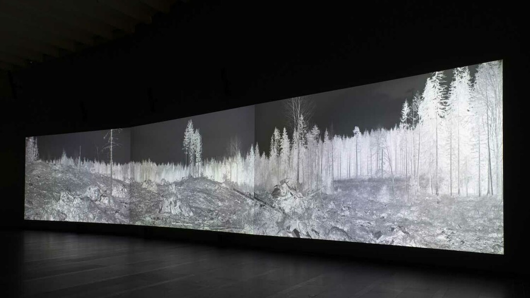 Eija-Liisa Ahtila, Reflexion eines waldes, ausstellungsansicht. Mit freundlicher genehmigung des Serlachius-Museums