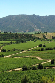 Vista panorámica de un paisaje rural en la región de O'Higgins, Chile