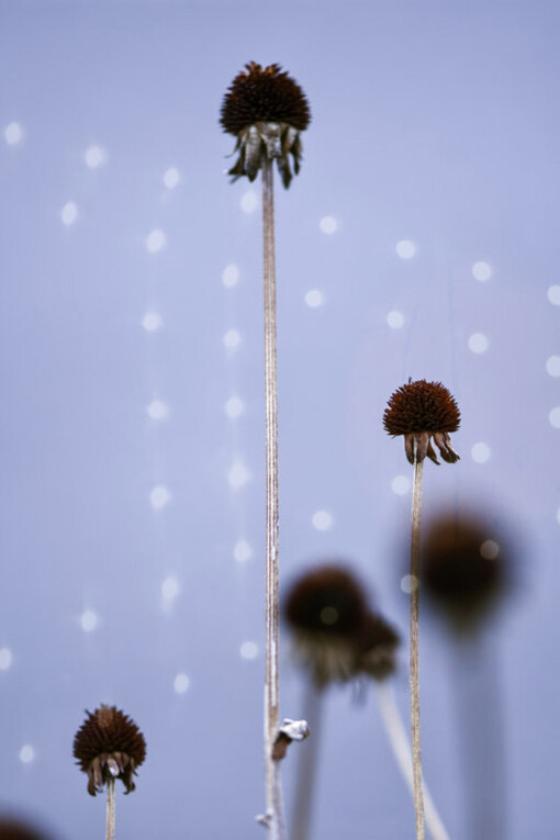 Thing(s) of Beauty. Courtesy of Bitfactory Gallery