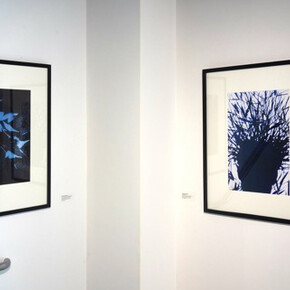 Secret Lives. Courtesy of George Lawson Gallery