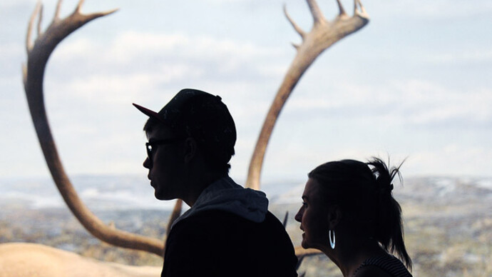 Wildlife Exhibits. Courtesy of Denver Museum of Nature & Science