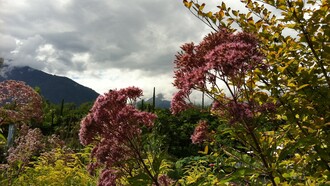 Bellezza naturale