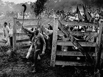 Ao longo de sua carreira, Sebastião Salgado desenvolveu projetos fotográficos que acompanharam trabalhadores, populações deslocadas e comunidades submetidas a profundas transformações sociais. Sua abordagem documental buscou registrar não apenas as condições materiais de vida, mas também a dignidade e a força das pessoas retratadas