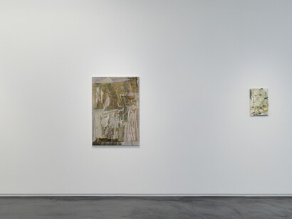 Reika Takebayashi, A petal falling, exhibition view. Courtesy of Taka Ishii Gallery 