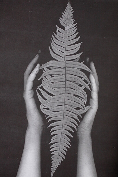 Nature des profondeurs. Courtesy of Alberta Pane gallery