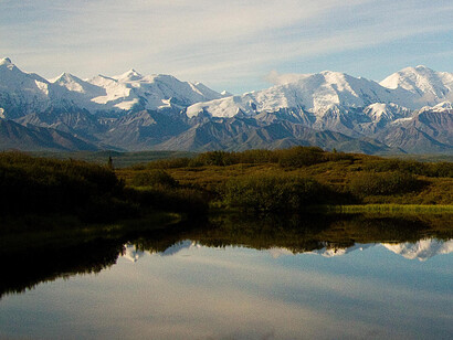 Denali National Park