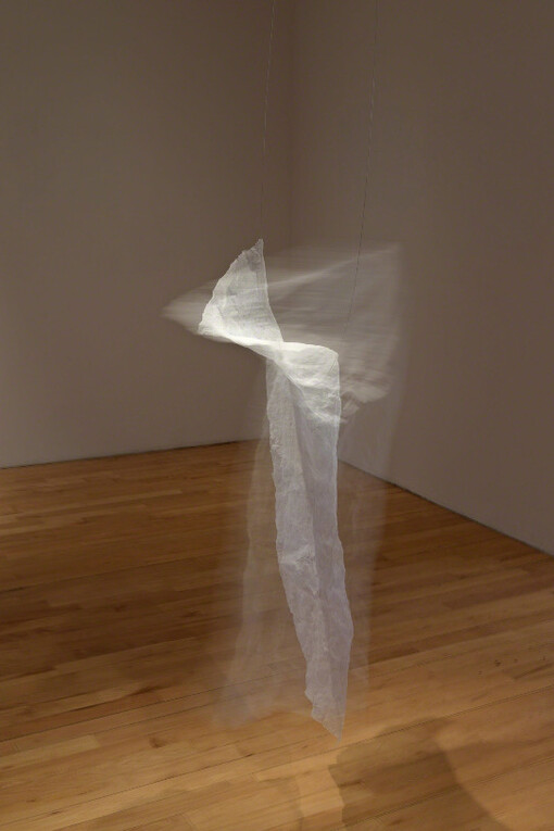 Void Weaves, Bone Scores. Courtesy of Josée Bienvenu Gallery