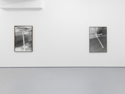 Tito Mouraz, Selva oscura, vista da exposição. Cortesia de 3+1 Arte Contemporânea