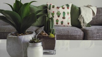 Gli elementi naturali in casa donano benessere ed equilibrio