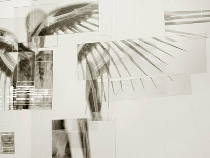 Giancarlo Marcali, Ri(e)voluzione (dettaglio), 2012, installazione, radiografie, vetro, cavi acciaio e nylon, cm 300x250x200