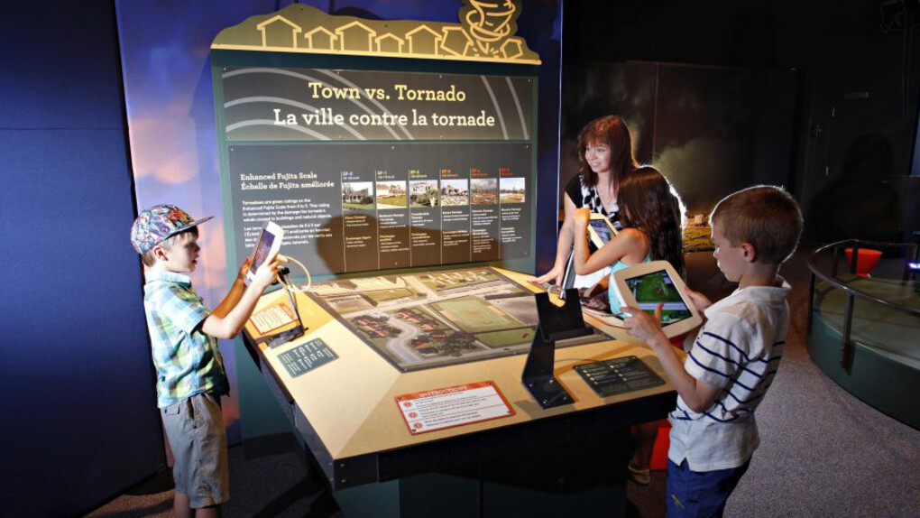Wild Weather, Exhibition view. Courtesy of Witte Museum
