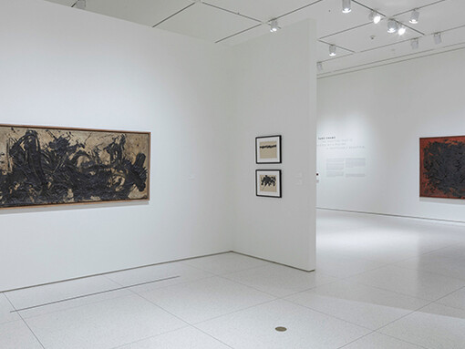 Tang Chang. Courtesy of Smart Museum of Art