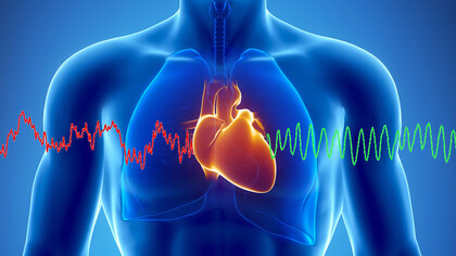 Per la medicina tradizionale cinese il cuore è l’imperatore e maestro del nostro corpo e della nostra mente