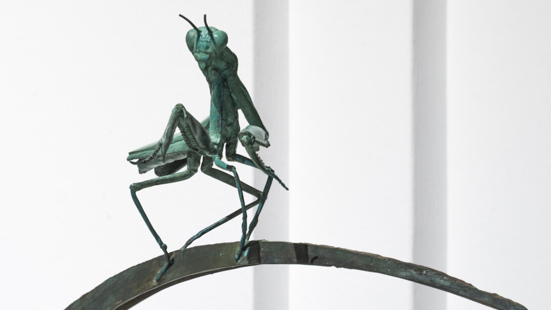 Invertebrados De Andalucía. Courtesy of Casa de la Ciencia