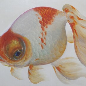 Riusuke Fukahori, Maboroshi