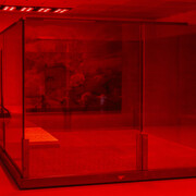 Anne Imhof, Wish you were gay, ausstellungsansicht. Mit freundlicher genehmigung der Künstlerin, Kunsthaus Bregenz, Galerie Buchholz, Sprüth Magers. Foto von Markus Tretter